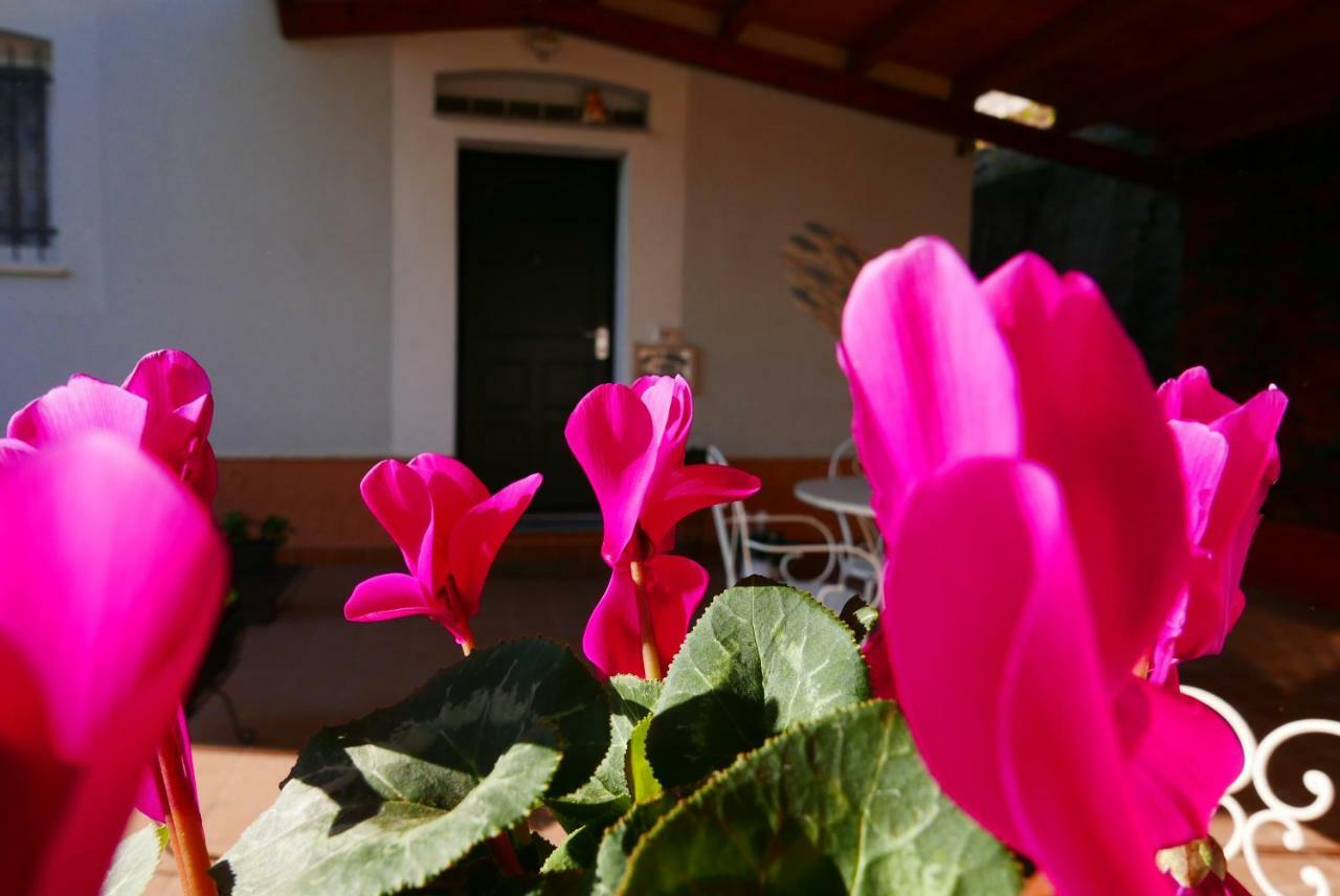 B&B Ai Tre Archi Spotorno Exterior photo